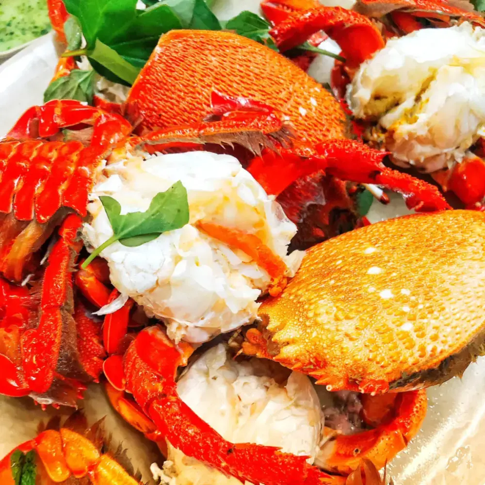 Cua Huỳnh Đế Thiên Nhiên Size 1-1,2Kg/Con