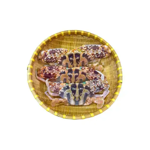 Ghẹ Đỏ Tươi Sống Size 6-7 Con/Kg