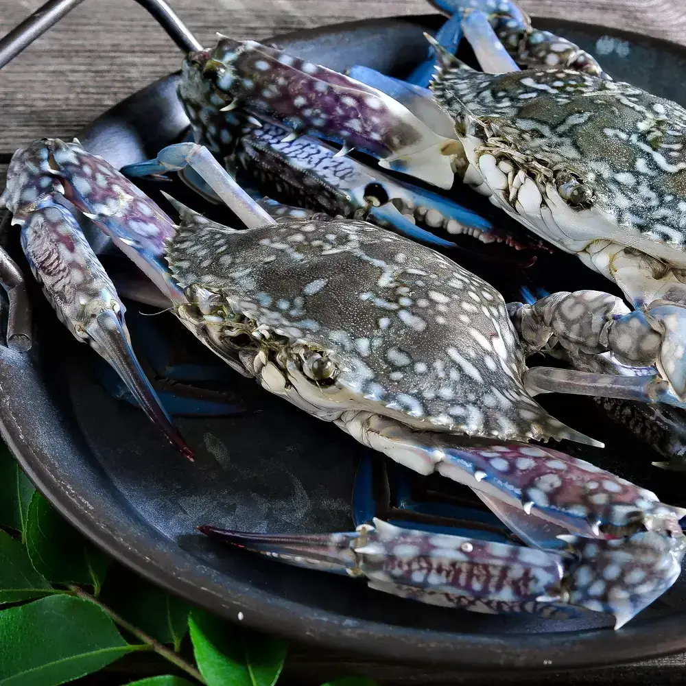 Ghẹ Xanh Tươi Sống Size 3-4 Con/Kg