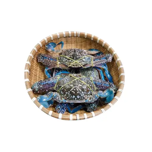 Ghẹ Xanh Tươi Sống Size 5-6 Con/Kg