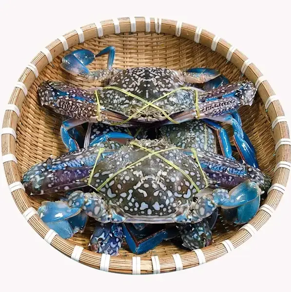 Ghẹ Xanh Tươi Sống Size 6-7 Con/Kg