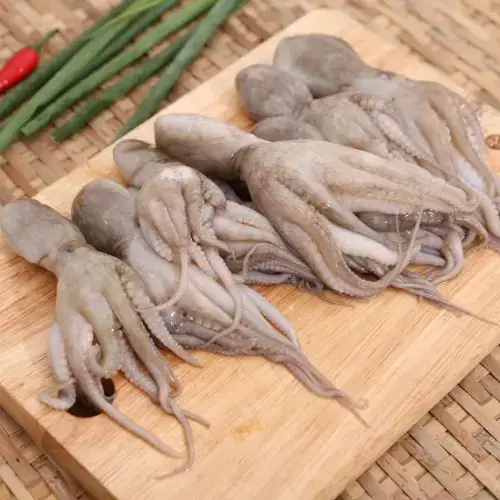 Bạch Tuộc Tươi Sống Size 2-3 Con/Kg