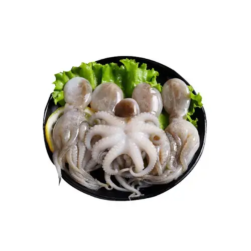 Bạch Tuộc Tươi Sống Size 2-3 Con/Kg