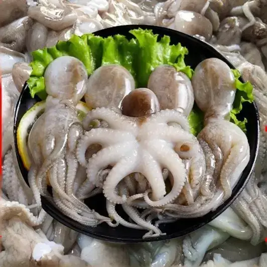 Bạch Tuộc Tươi Sống Size 3-4 Con/Kg