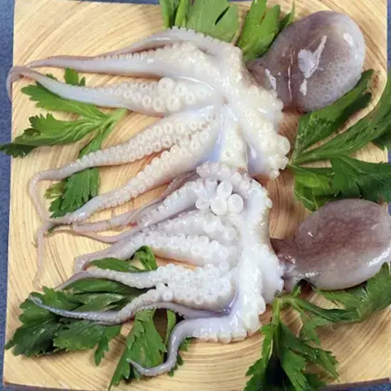 Bạch Tuộc Tươi Sống Size 4-6 Con/Kg