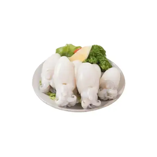 Mực Nang (Mực Nút) Tươi Size 8-10 Con/Kg