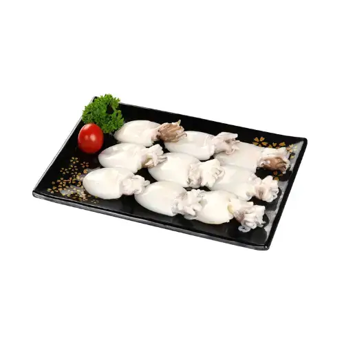 Mực Nang (Mực Nút) Tươi Size 10-15 Con/Kg