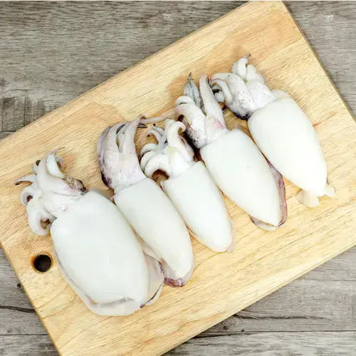 Mực Nang (Mực Nút) Tươi Size 10-15 Con/Kg