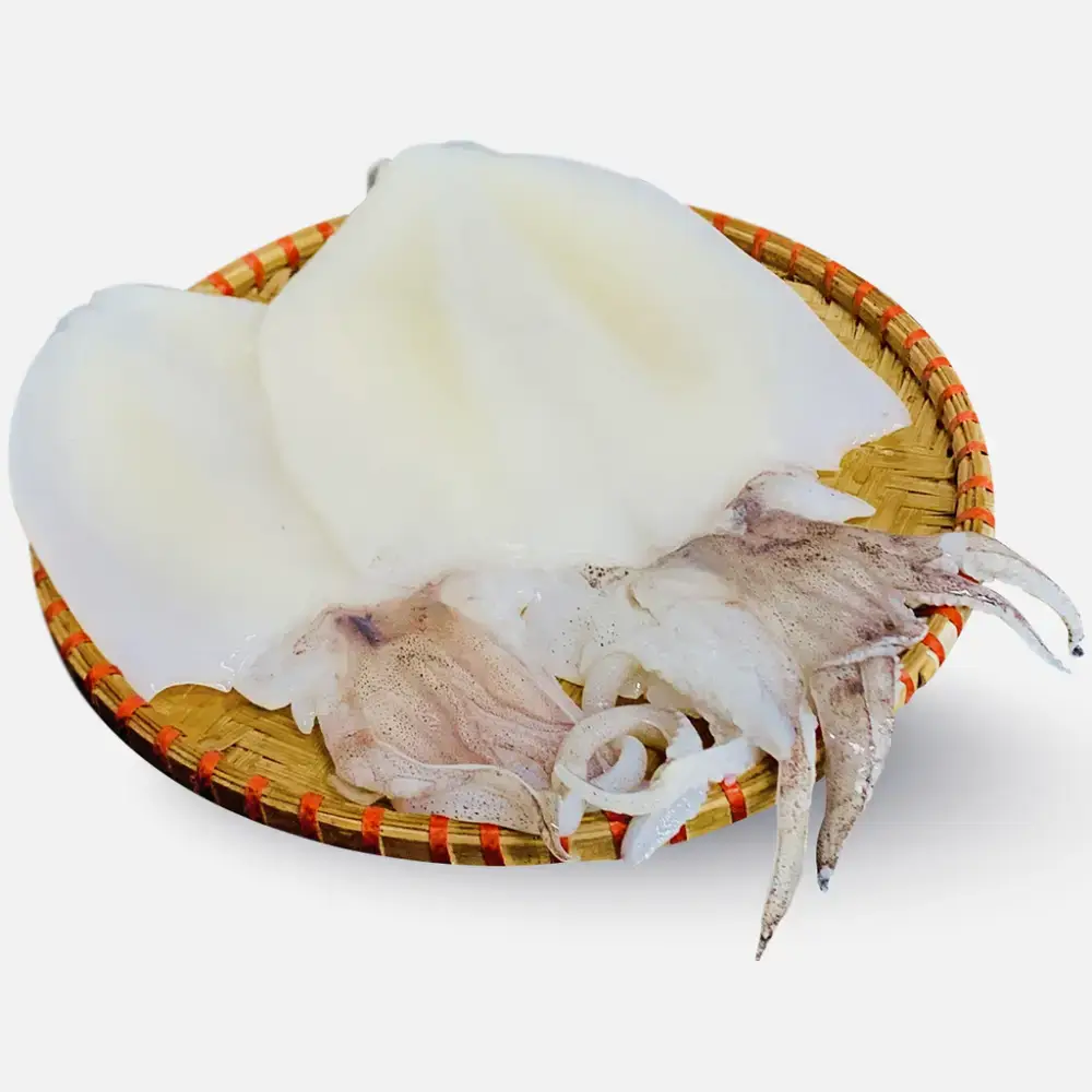 Mực Lá Tươi Sống Size 1-1,2Kg/Con