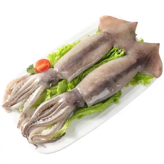 Mực Ống Tươi Sống Size 400-600Gram/Con