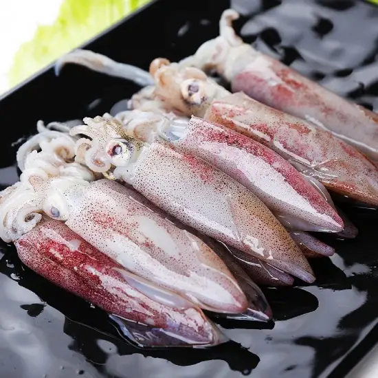 Mực Ống Tươi Sống Size 3-4 Con/Kg