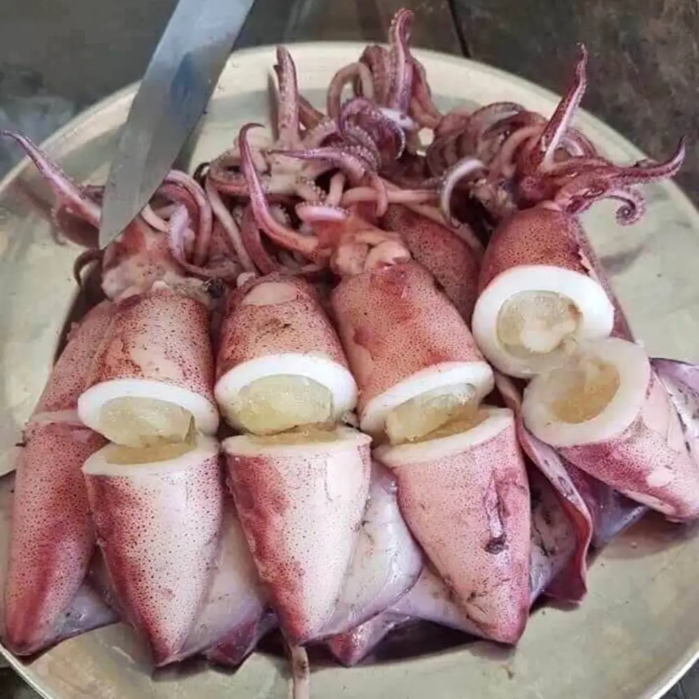 Mực Trứng Tươi Ngon Size 8-10 Con/Kg