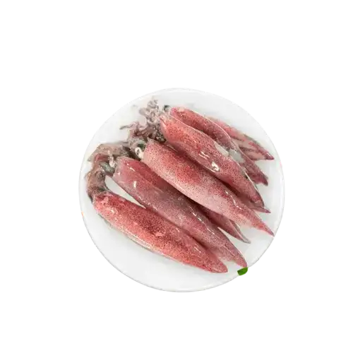 Mực Trứng Tươi Ngon Size 20-30 Con/Kg