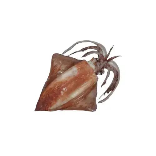 Mực Lá Đại Dương Size 4-6Kg/Con