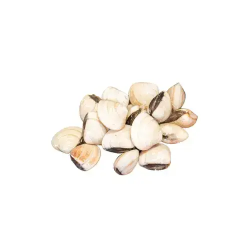 Nghêu Biển Tươi Sống Size 20-30 Con/Kg