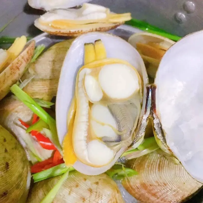 Ngao Hai Cồi Tươi Ngon Size 30-40 Con/Kg