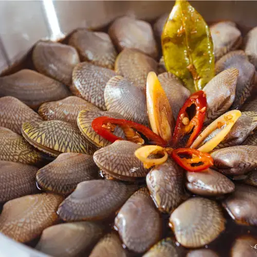 Ngao Hoa Tươi Sống Size 80-100 Con/Kg