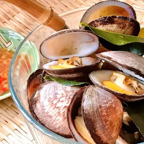 Ngao Hoa Tươi Sống Size 80-100 Con/Kg