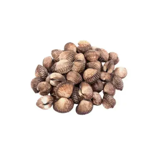 Sò Huyết Tươi Ngon Size 80-100 Con/Kg 