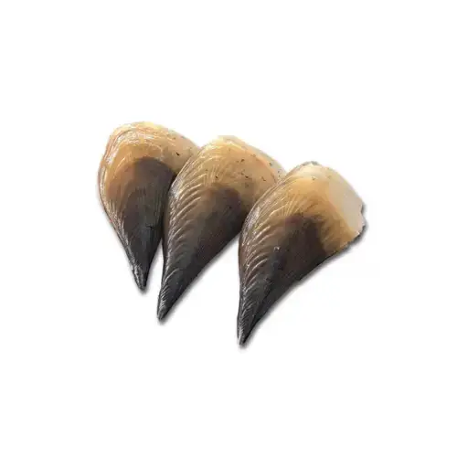 Sò Mai Tươi Sống Size 3-4 Con/Kg