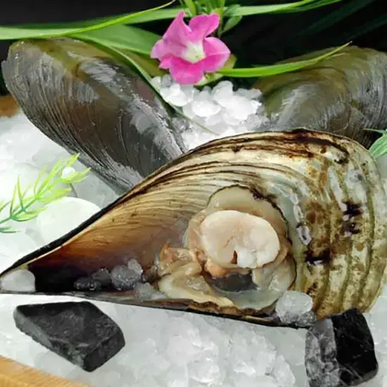 Sò Mai Tươi Sống Size 3-4 Con/Kg