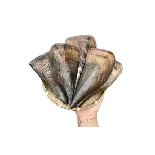 Sò Mai Tươi Sống Size 4-6 Con/Kg