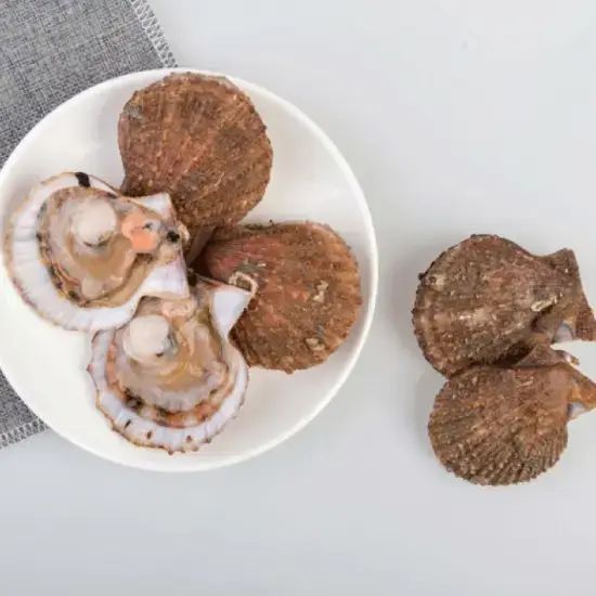 Sò Điệp Tươi Sống Size 30-40 Con/Kg