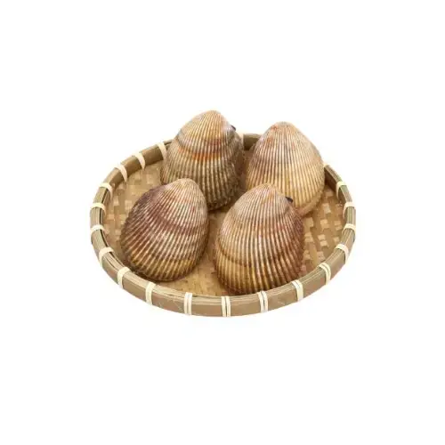 Sò Dương Tươi Sống Loại 1 Size 4-5 Con/Kg