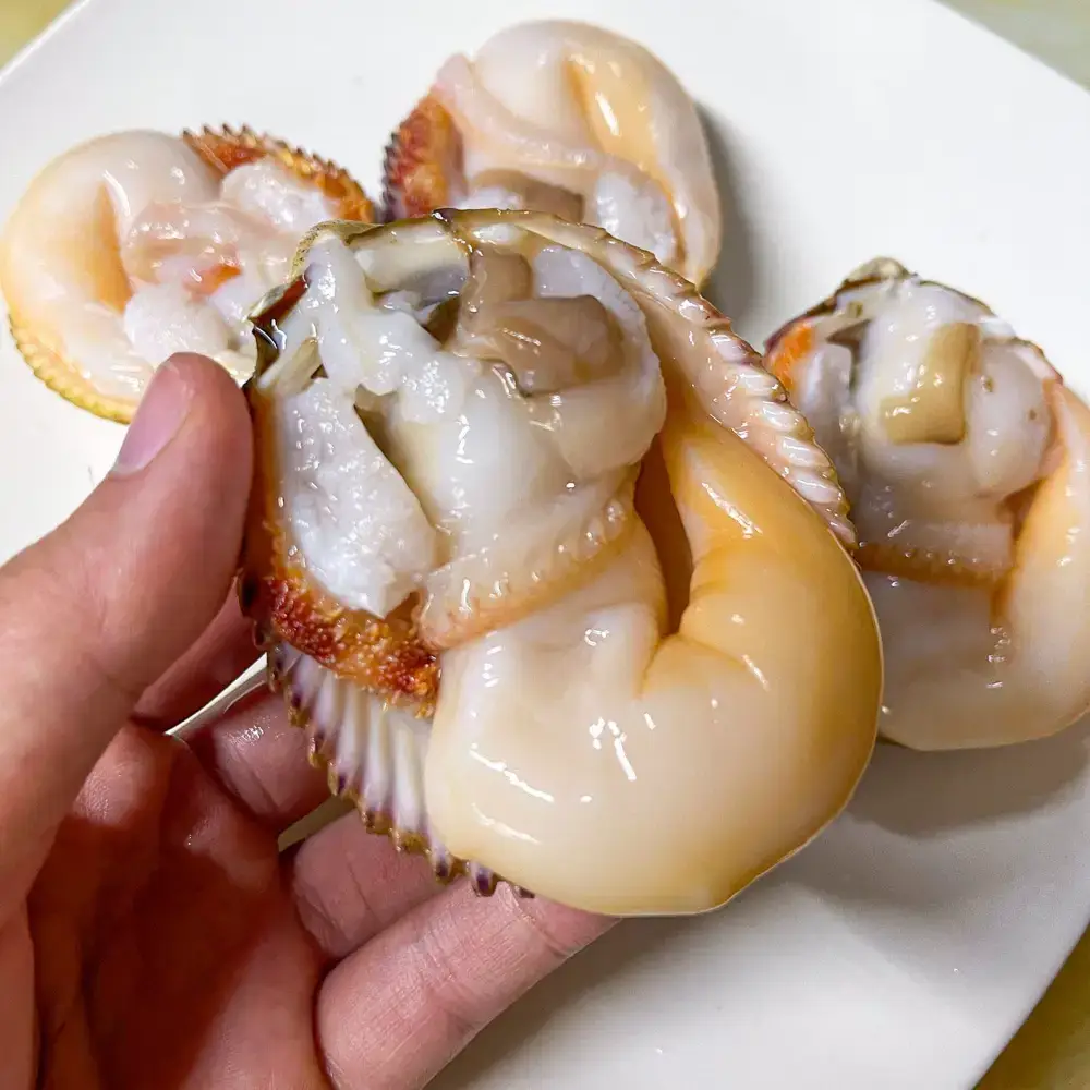 Sò Dương Tươi Sống Loại 1 Size 6-7 Con/Kg