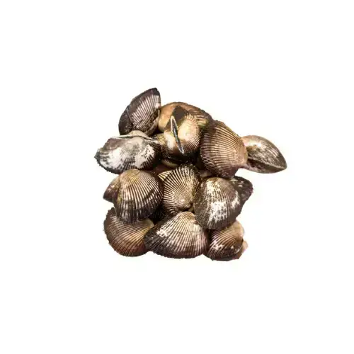 Sò Lông Tươi Sống Size 10-15 Con/Kg