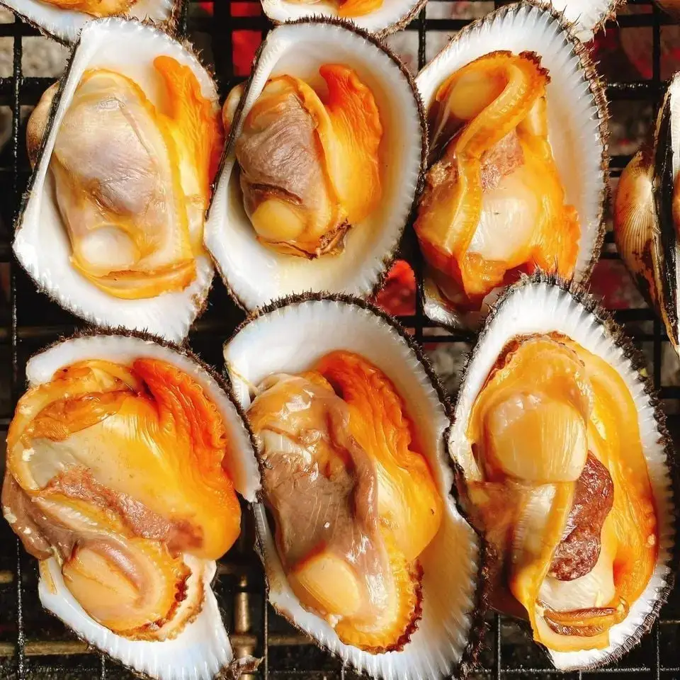 Sò Lông Tươi Sống Size 20-30 Con/Kg