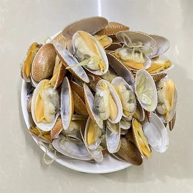 Sò Lụa Tươi Sống Size 20-30 Con/Kg