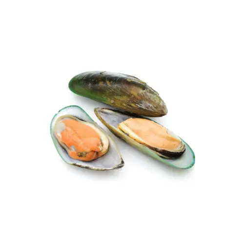 Vẹm Xanh Tươi Sống Size 20-25 Con/Kg