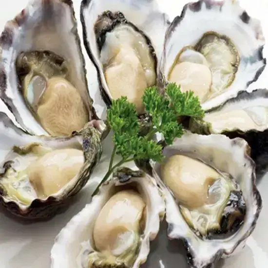 Hàu Sữa Tươi Sống Loại 1 Size 2-3 Con/Kg