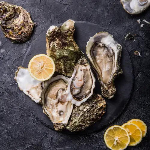 Hàu Sữa Tươi Sống Loại 1 Size 8-10 Con/Kg