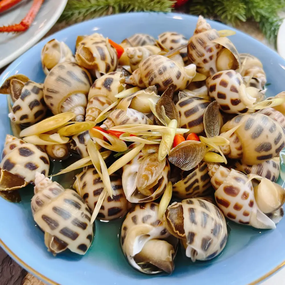 Ốc Hương Tươi Sống Size Cồ 