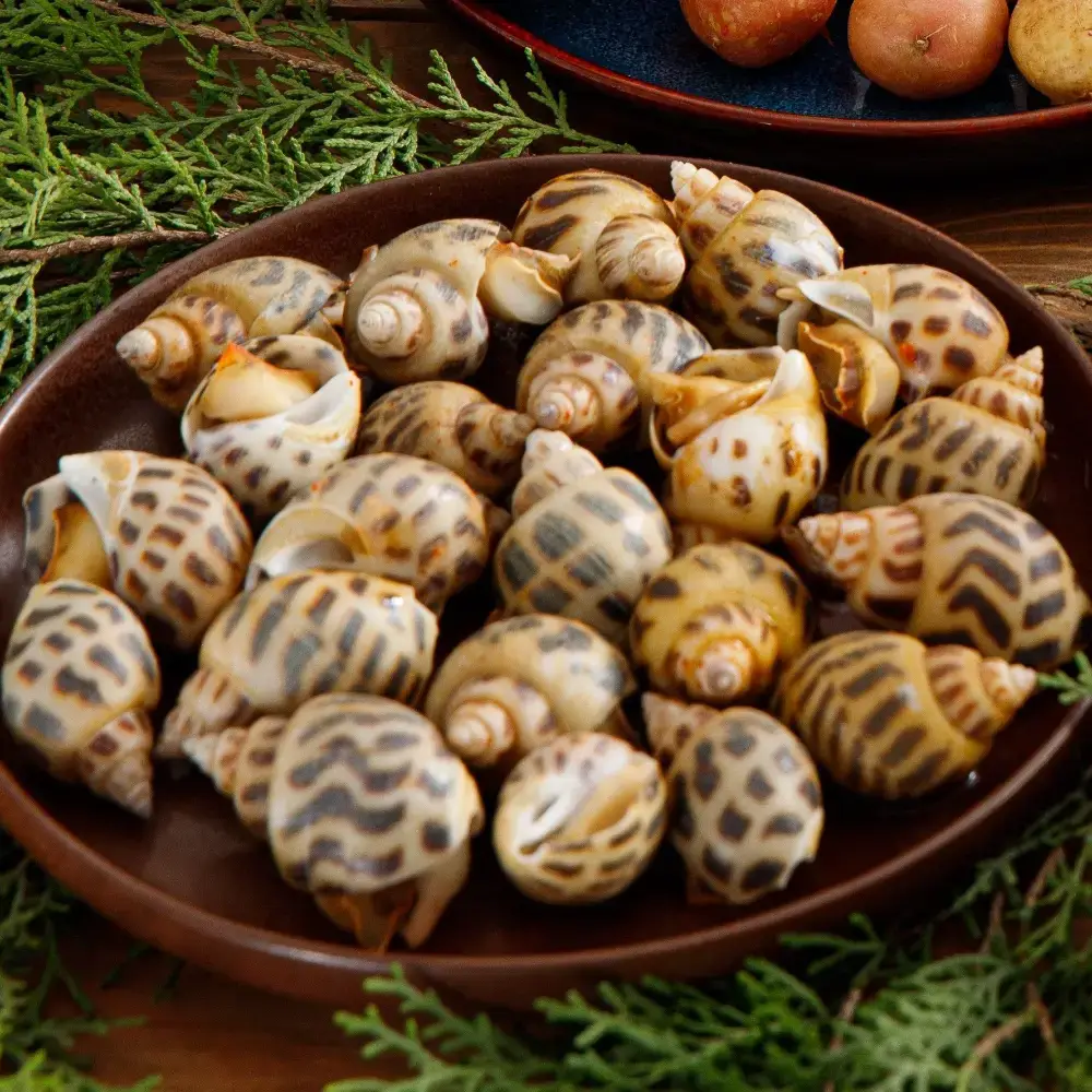 Ốc Hương Tươi Sống Size 30-40 Con/Kg