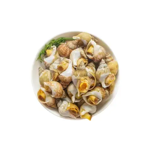 Ốc Bulot Tươi Sống Giá Tốt 