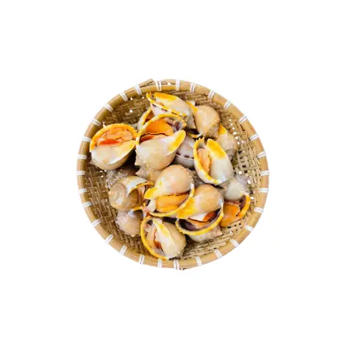 Ốc Tỏi Tươi Sống Giá Tốt 