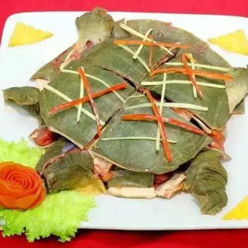 Ba Ba Thịt Tươi Sống Giá Tốt