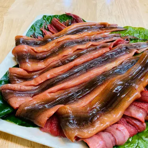 Lươn Thịt Tươi Sống Giá Tốt