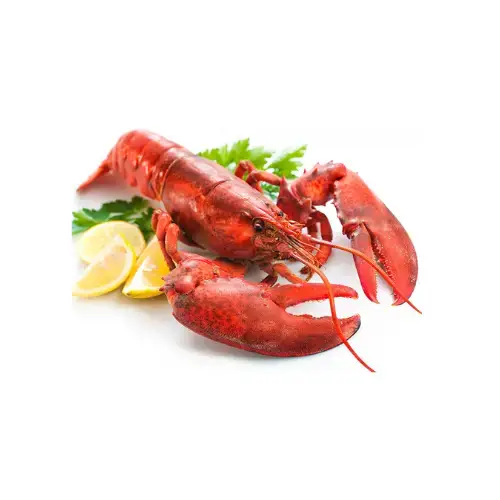 Tôm Hùm ALASKA Tươi Sống Giá Tốt 