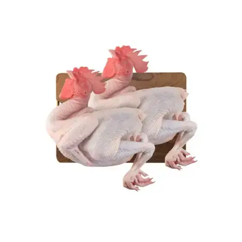 Gà Thả Vườn Làm Sạch