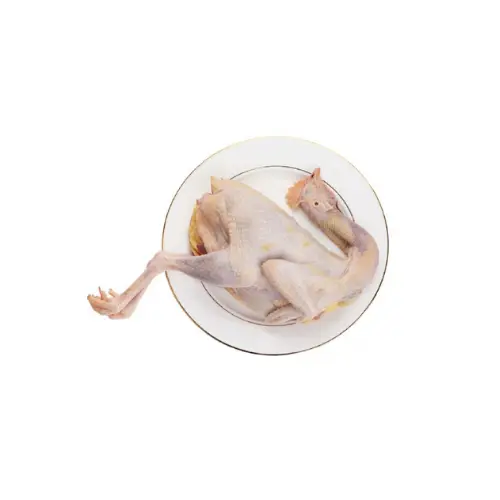 Gà Ta Nuôi Thiên Nhiên Làm Sạch