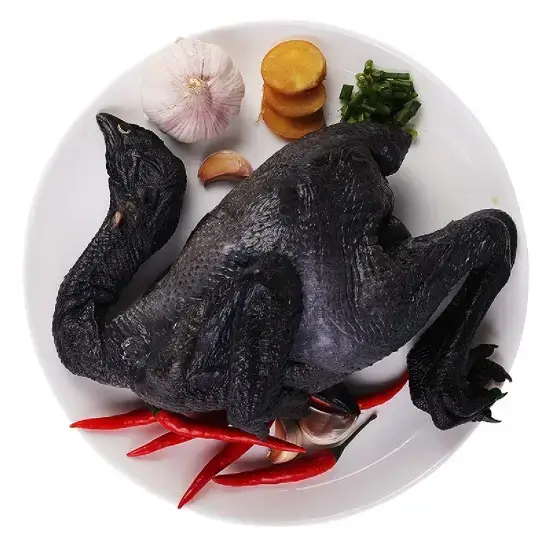 Gà Ác Tươi Sống Làm Sạch Size 500-700gr/con Giá Sỉ 