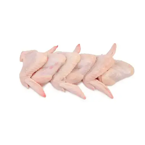 Cánh Gà Nguyên Chiếc Tươi Giá Sỉ 