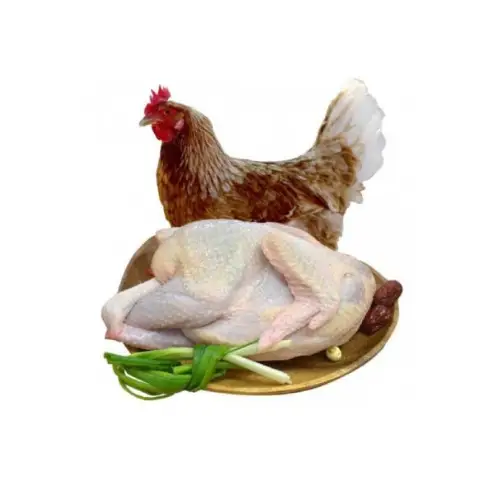 Tim Gà Tươi Sống Loại 1