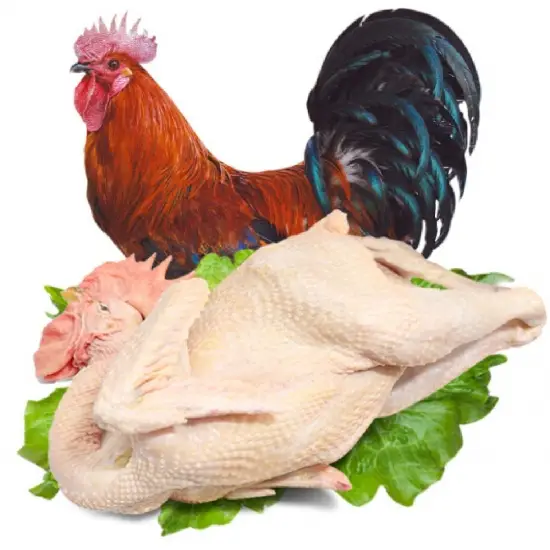 Tim Gà Tươi Sống Loại 1