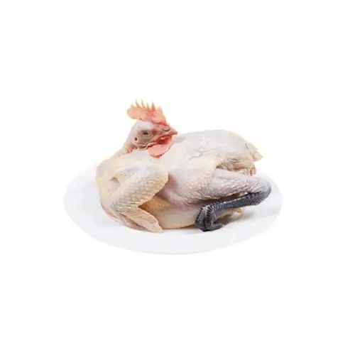 Tim Gà Tươi Sống Loại 1