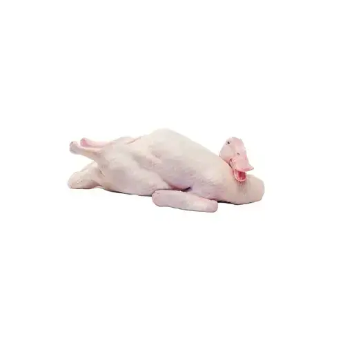 Vịt Siêu Thịt Làm Sạch Tươi Ngon